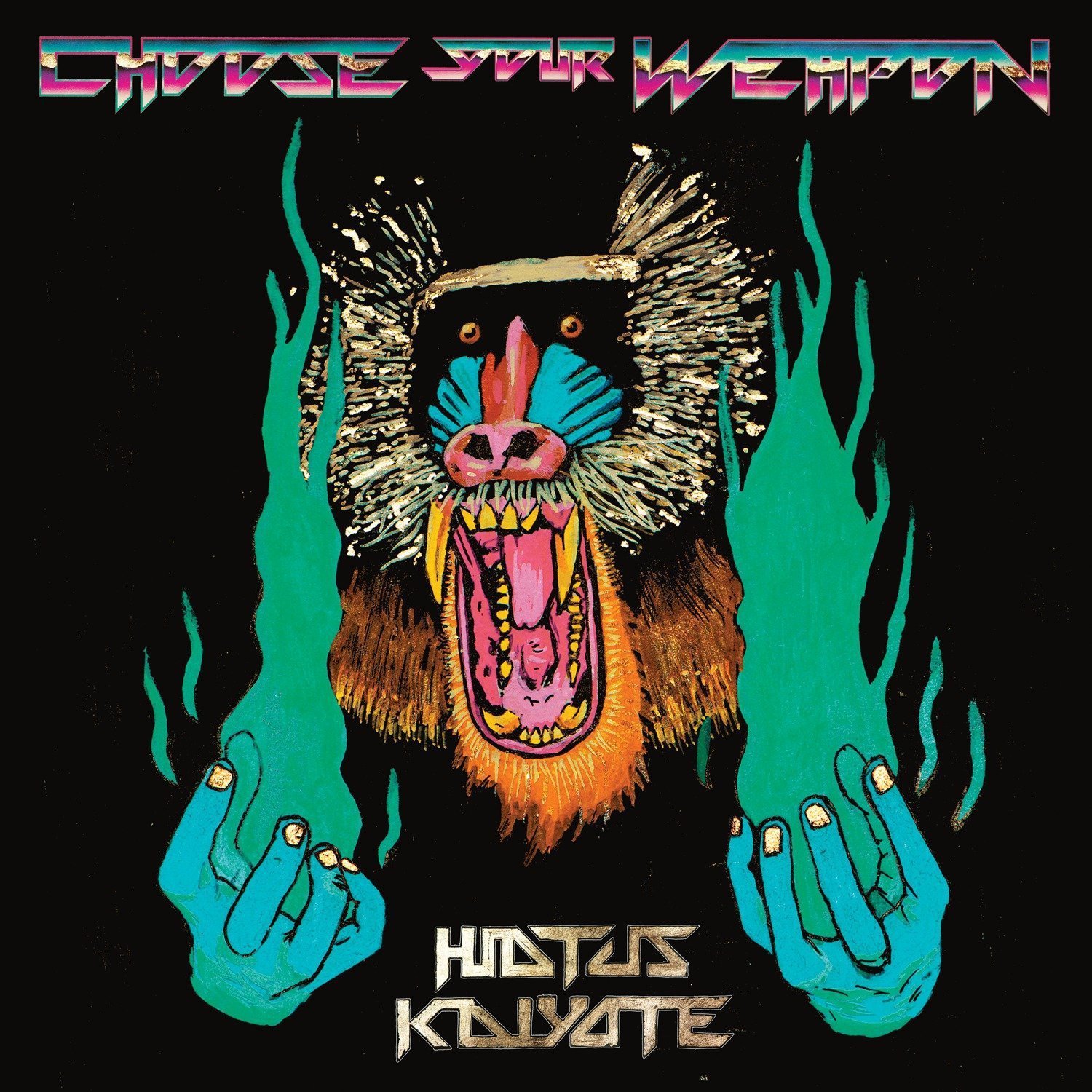 hiatus kaiyote album cover