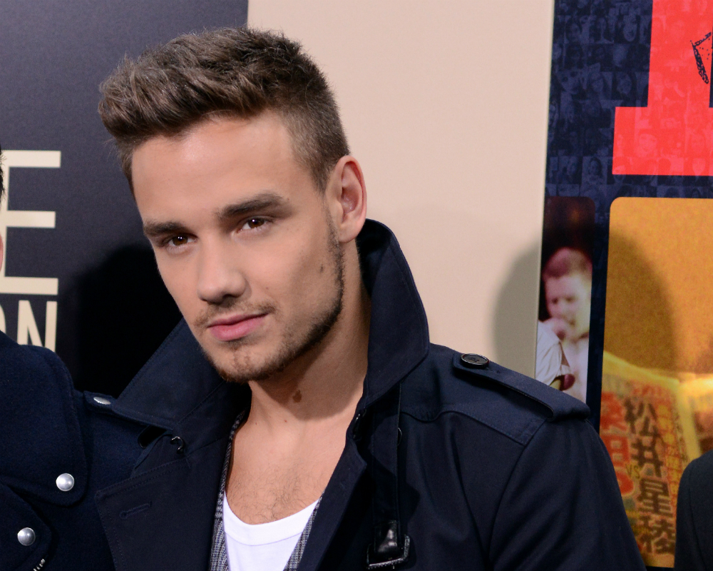 WPGM Commentary: Liam Payne, Heteronormativity And Generalizations - WE PLU...