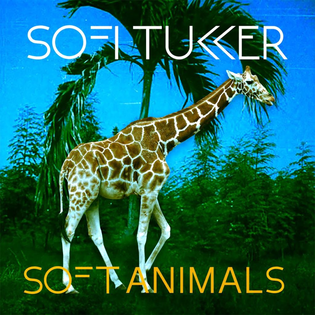 WPGM Recommends: SOFI TUKKER - Soft Animals (EP Review) - WE PLUG GOOD MUSIC