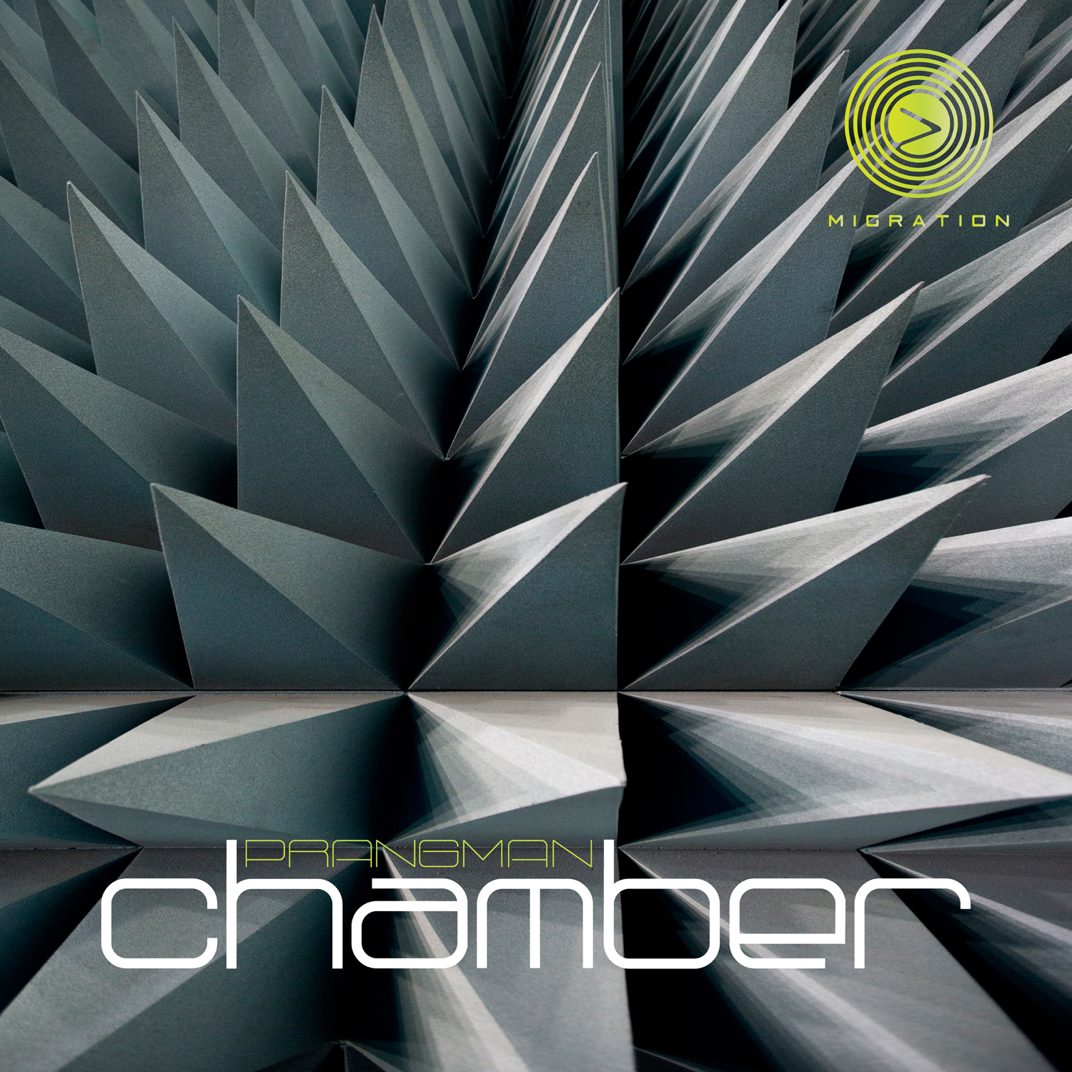 chamber_jan2017_greyspike